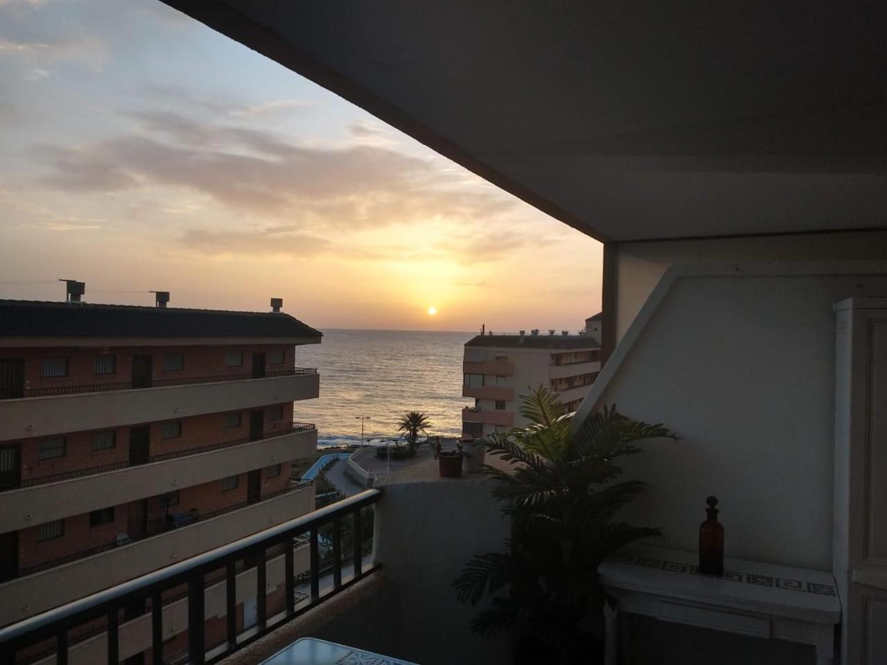 Cabo Cervera 50 M Del Mar Torrevieja Eksteriør bilde